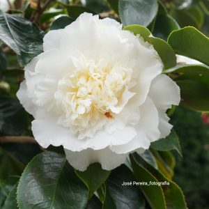 332344903_167913585629673_8573524921688648240_n