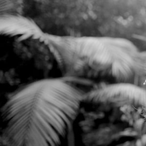 338192948_175342751993940_2114450568246547816_n